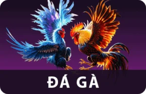 đá gà