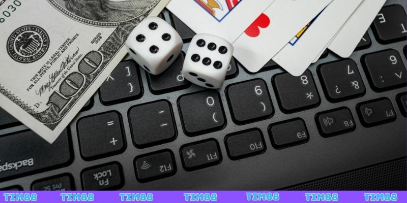 Tìm hiểu về đấu trường thành viên TIM88